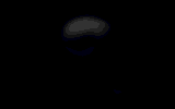 pirati